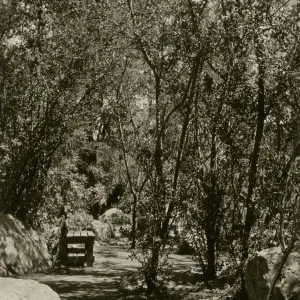 wood bench