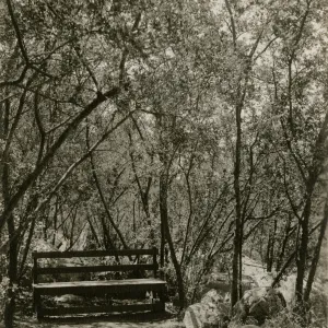 wood bench