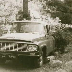 Tree removal, garden pickup truck