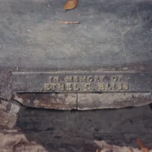 Ethel C. Bliss Bench, 1979, Redwood Section (removed)