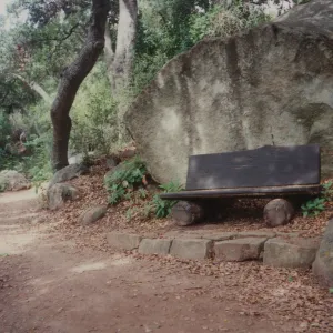 Irving and Mildred Haim Bench, 1979 (replaced in 1994, shared with Perkins)