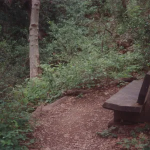 Ruth Holbrook Bench, 1974