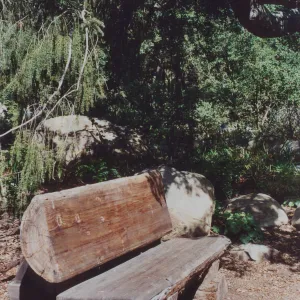 James F. Mastoris Bench, 1996, Manzanita Section