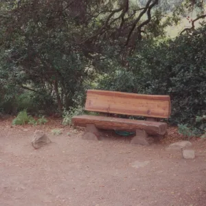 E. Blair McLean Bench, 1990, Manzanita Section