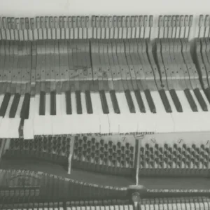 Steinway Piano, 1982