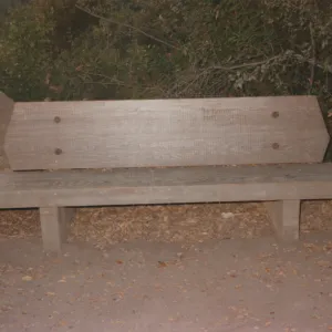 Phyllis Pettit Bench, 1974