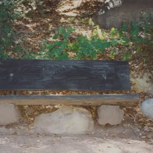 Boris D. Vishanoff Bench, 1980