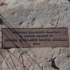 Esther Elizabeth Groves Wheeler Plaque, 1979, Porter Trail