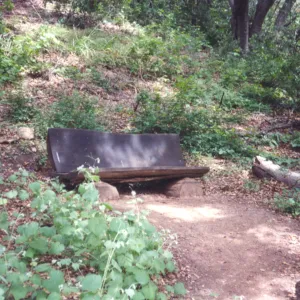 Unnamed wood bench (replaced by Rapp Bench) in Island Section