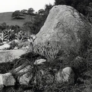 Desert Section and Blaksley Boulder