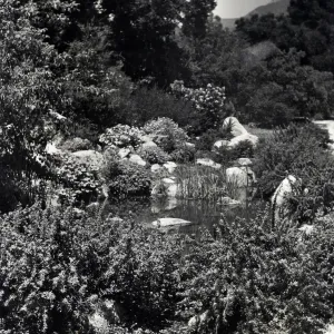 Pond