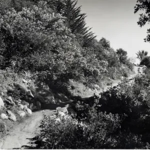 Campbell Trail