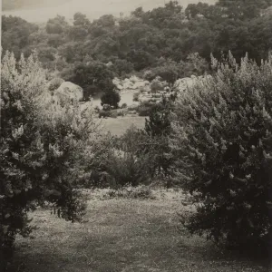 View west from Foothill trail to Blaksley boulder, before Kiosk was built