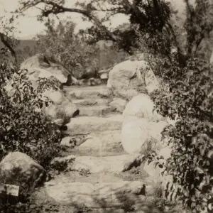 stone steps, Meadow Oaks, SBBG, circa 1933, 1930s
