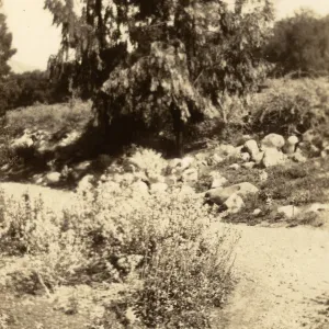 SBBG, circa 1933, 1930s