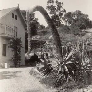 Photos from Ethel George Lyons of George house and family