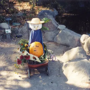 Scarecrow Contest