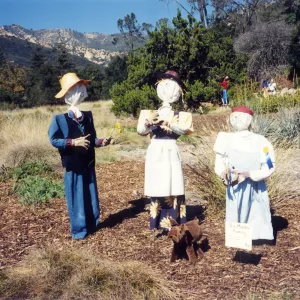 Scarecrow Contest