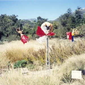 Scarecrow Contest