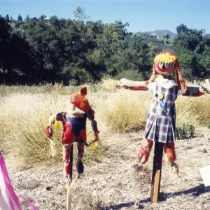 Scarecrow Contest