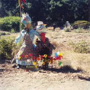 Scarecrow Contest
