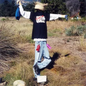 Scarecrow Contest