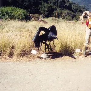 Scarecrow Contest