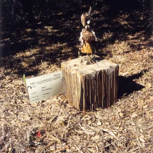 Scarecrow Contest