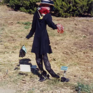 Scarecrow Contest