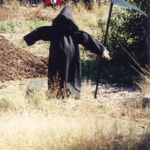 Scarecrow Contest