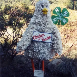 Scarecrow Contest