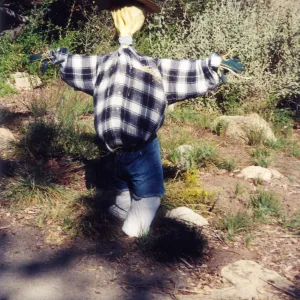 Scarecrow Contest