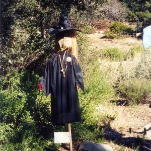 Scarecrow Contest
