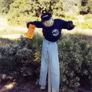 Scarecrow Contest