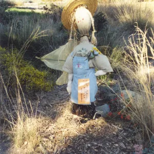 Scarecrow Contest