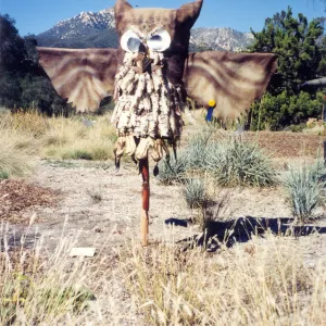 Scarecrow Contest