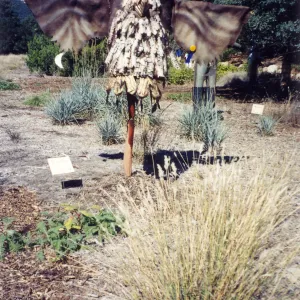 Scarecrow Contest