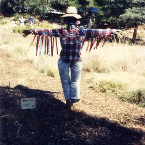 Scarecrow Contest