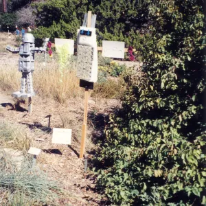 Scarecrow Contest