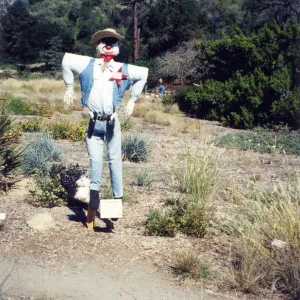 Scarecrow Contest