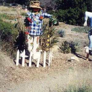 Scarecrow Contest