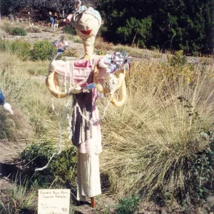 Scarecrow Contest