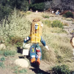 Scarecrow Contest
