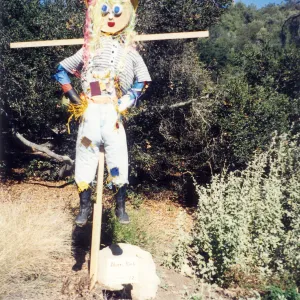 Scarecrow Contest