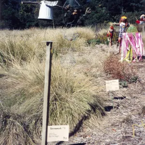 Scarecrow Contest