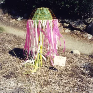 Scarecrow Contest