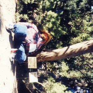 Scarecrow Contest