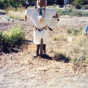 Scarecrow Contest