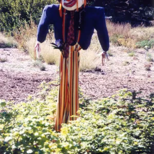 Scarecrow Contest