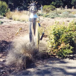 Scarecrow Contest